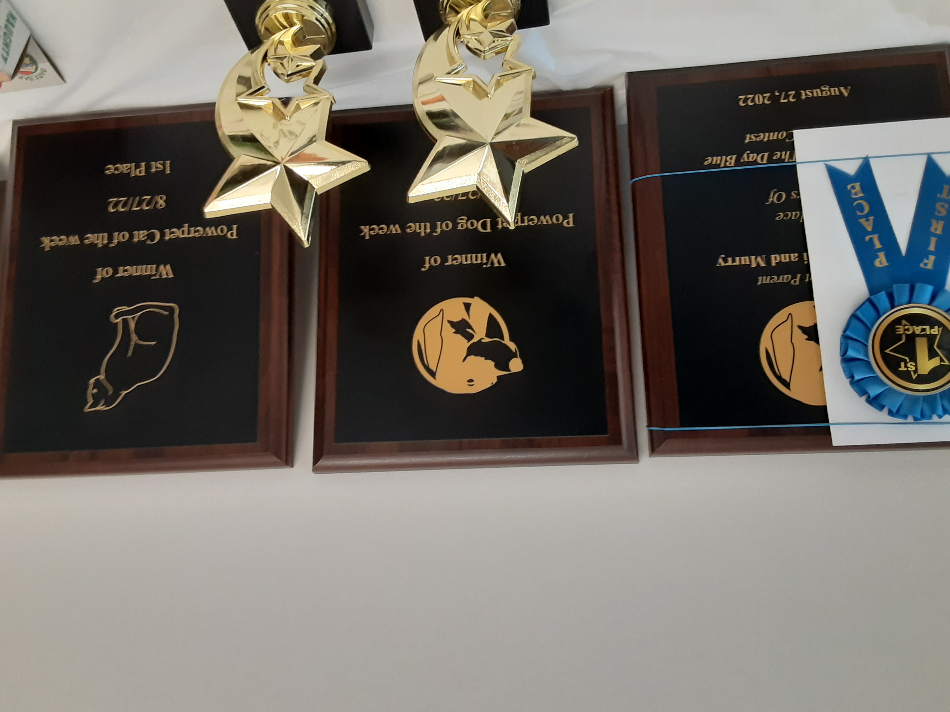 Pet Awards