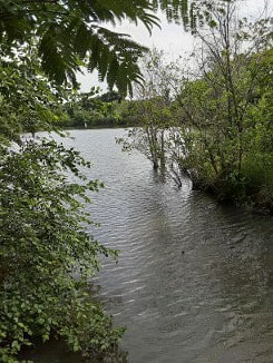 River
