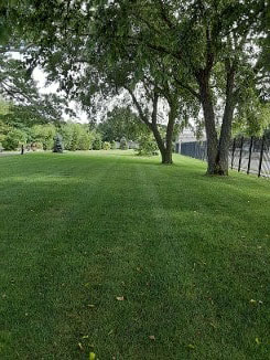 Green Fields