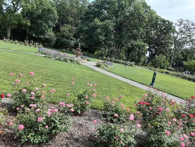 Clean Park